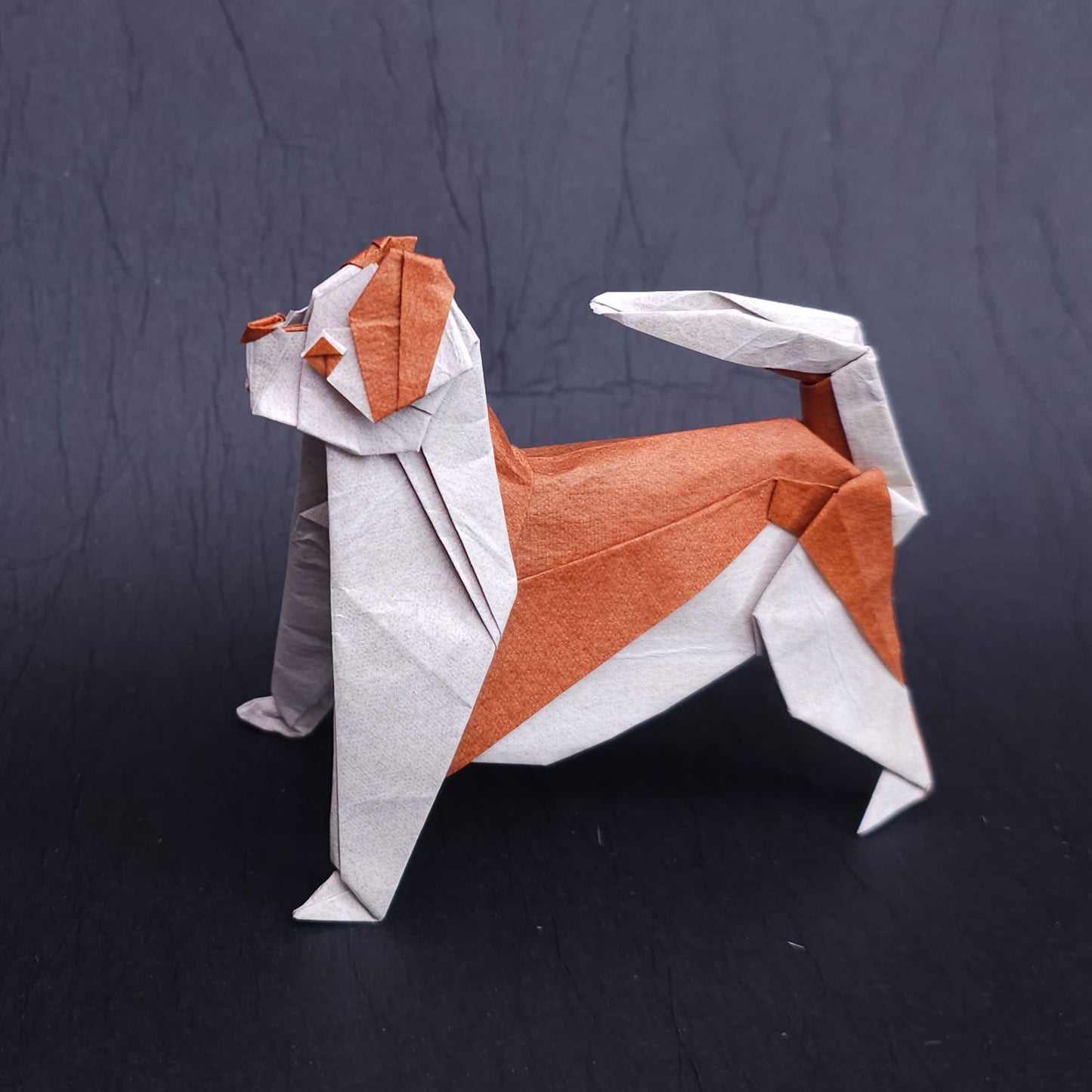 Triple Tissue Origami (Dual Color: light Brown/White) 13.5 inch, 10.5 inch, 6 inch, Handmade (Sold per sheet)