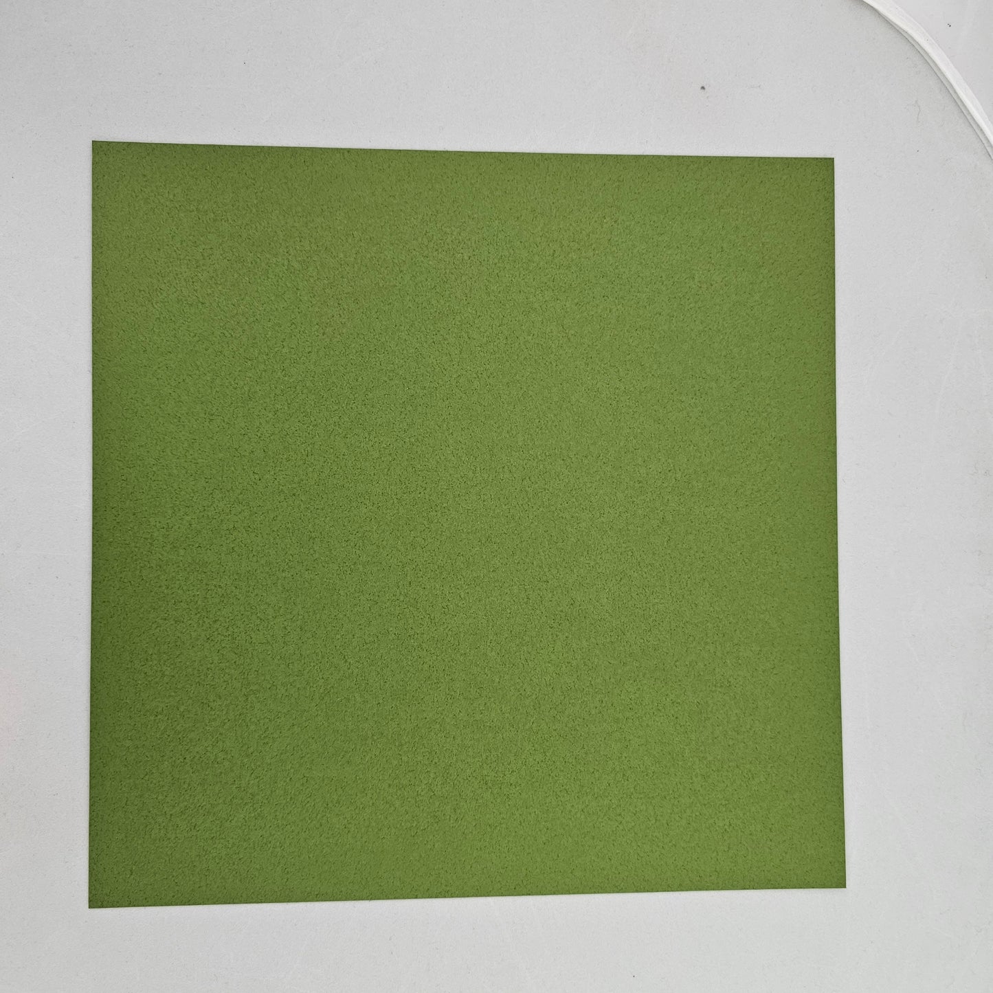TANT Large 10 Inch (25 cm) Double Sided Single Color (Moss Green) 20 Sheets (All Same Color) for Origami Artist from Beginner to Expert (Made in Japan)