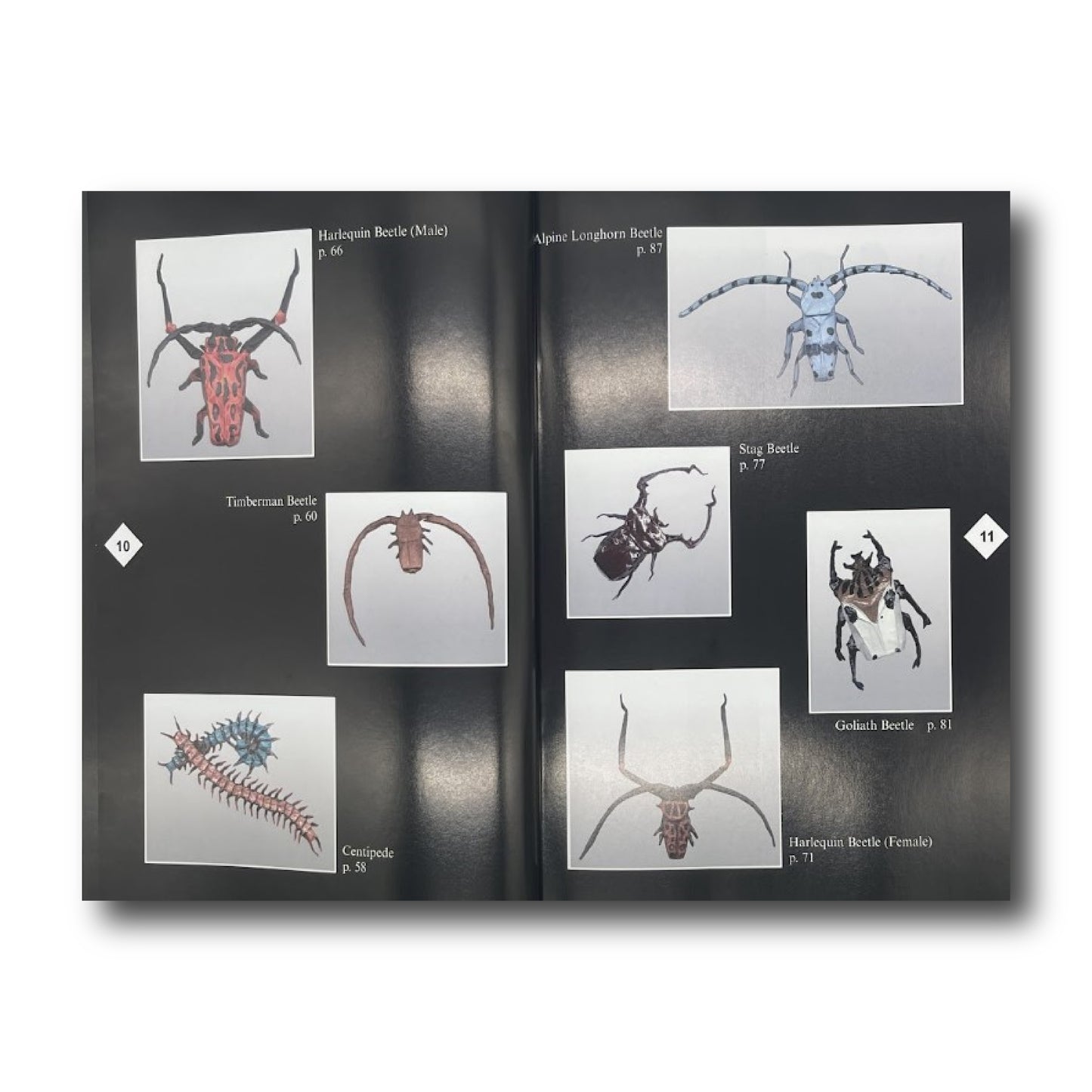 Origami Bugs & Beasts