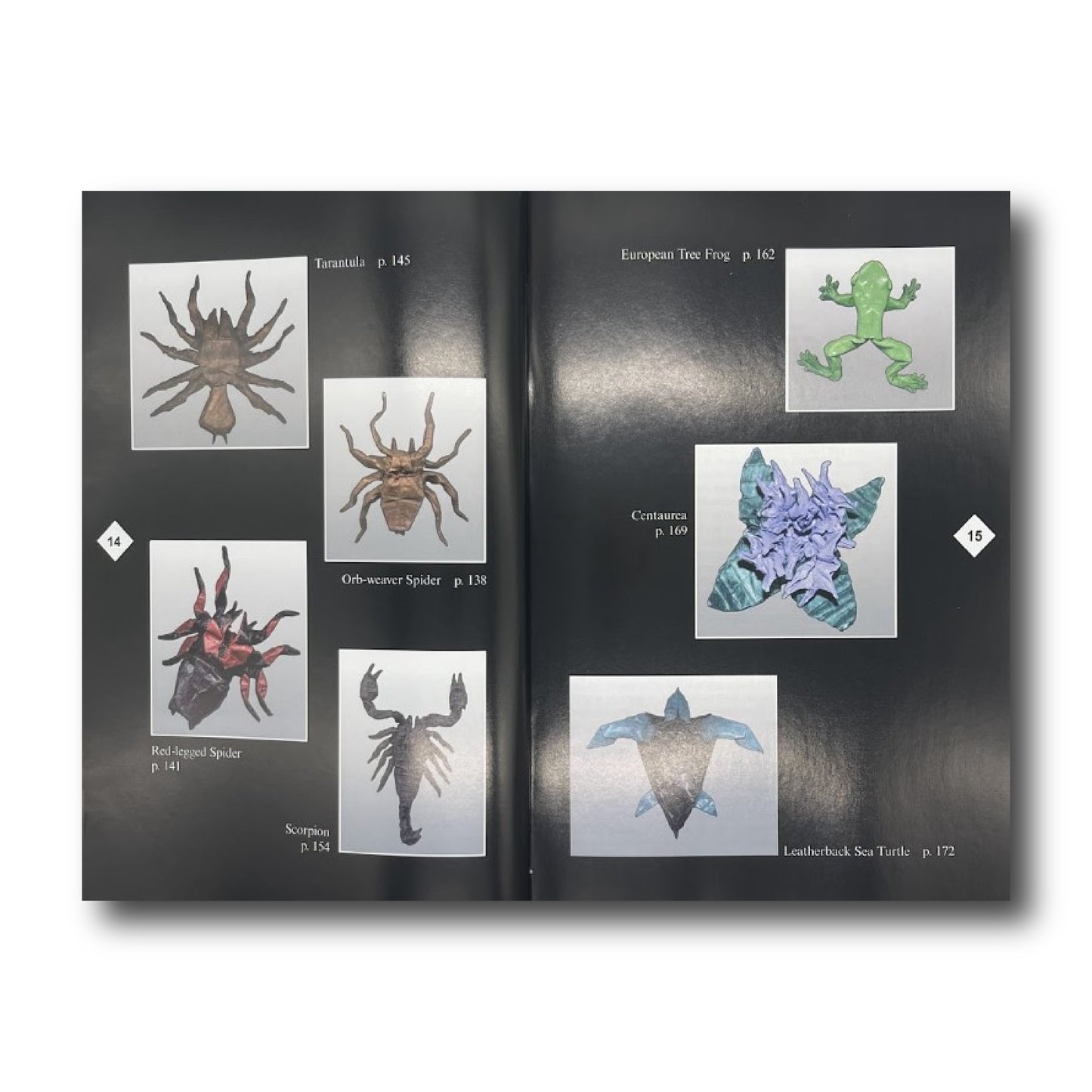 Origami Bugs & Beasts