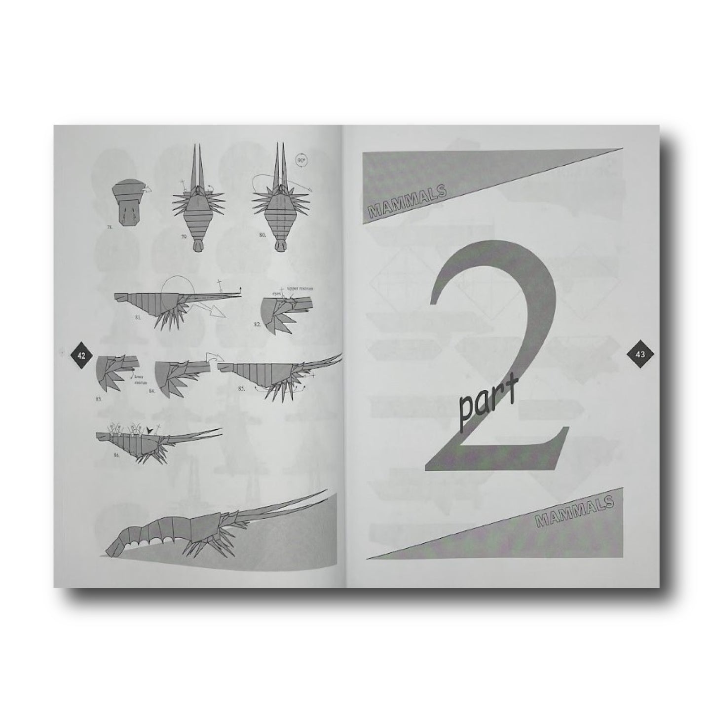 Origami Bugs & Beasts