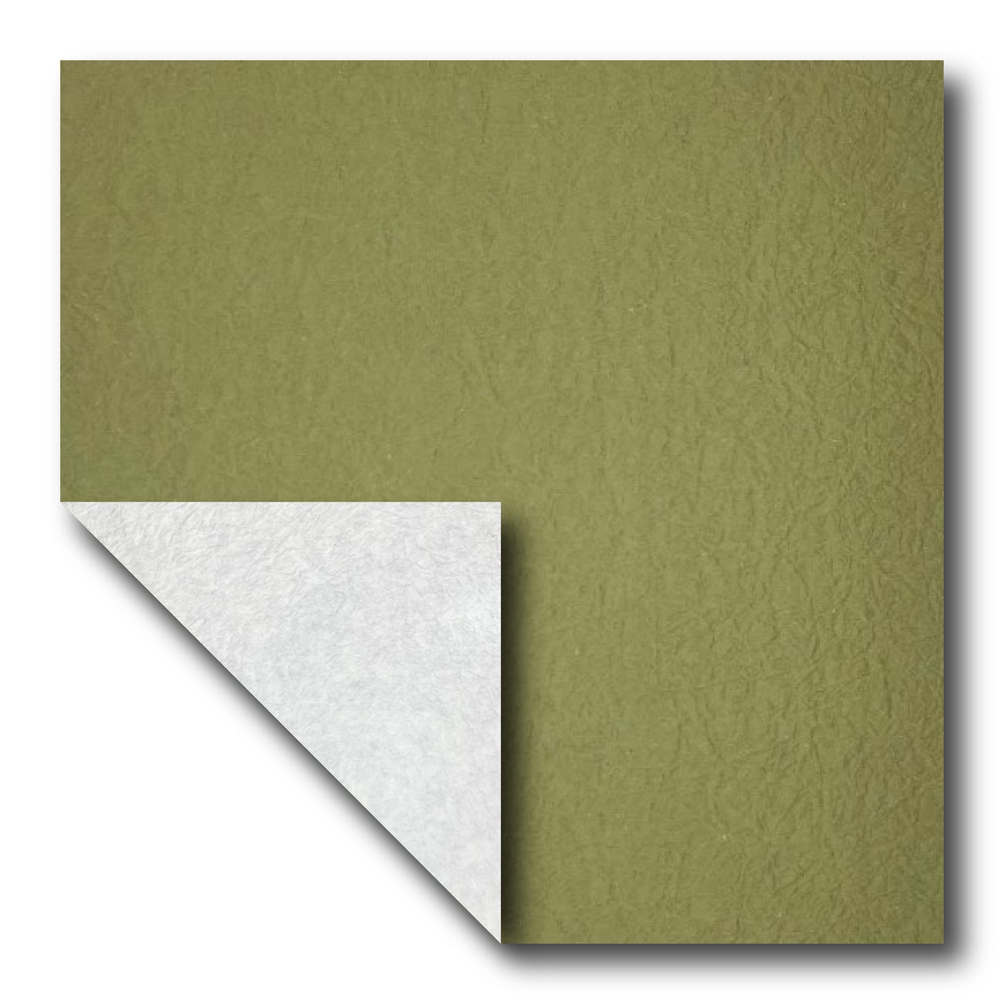 Echizen Momigami (Dual Color: Olive Green/White)(Sold per sheet) 35cm