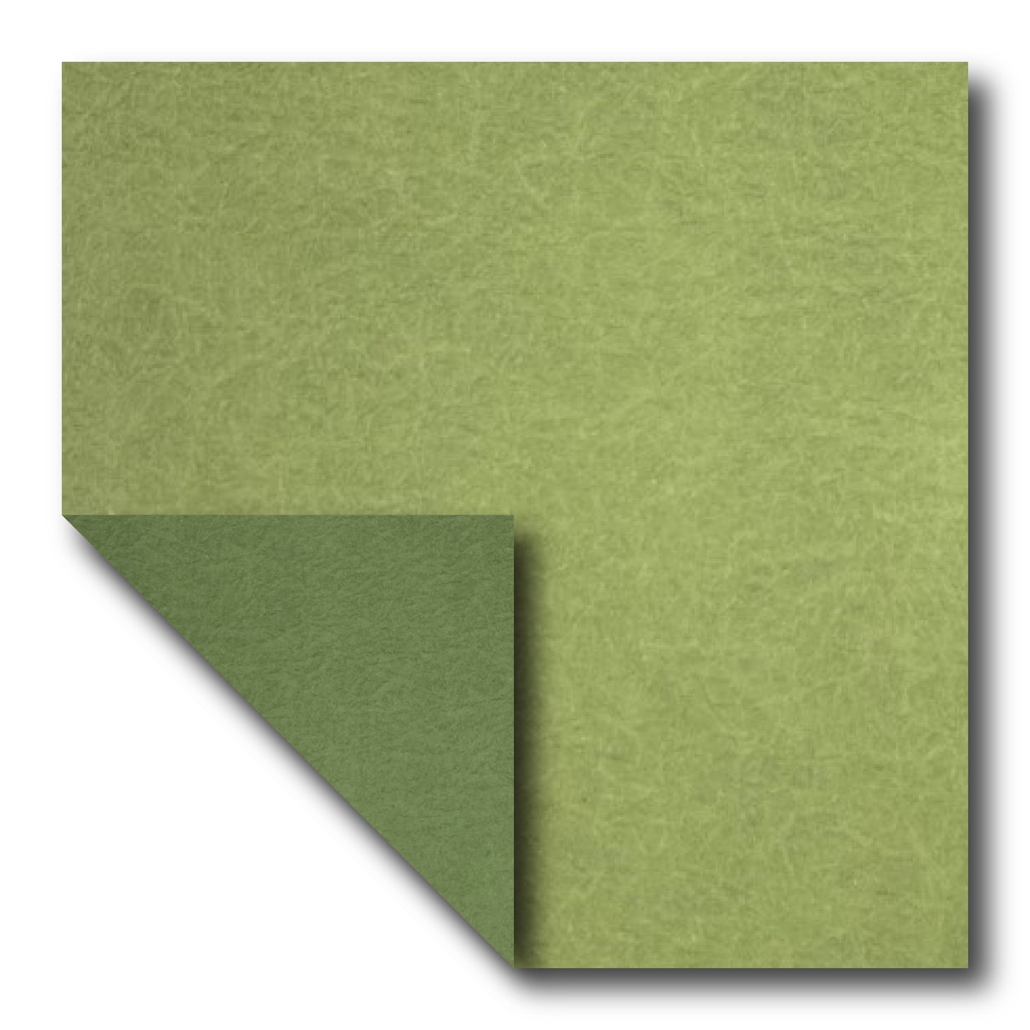 Echizen Momigami (Dual Color: Moss Green/Dark Moss Green)(Sold per sheet) 35cm