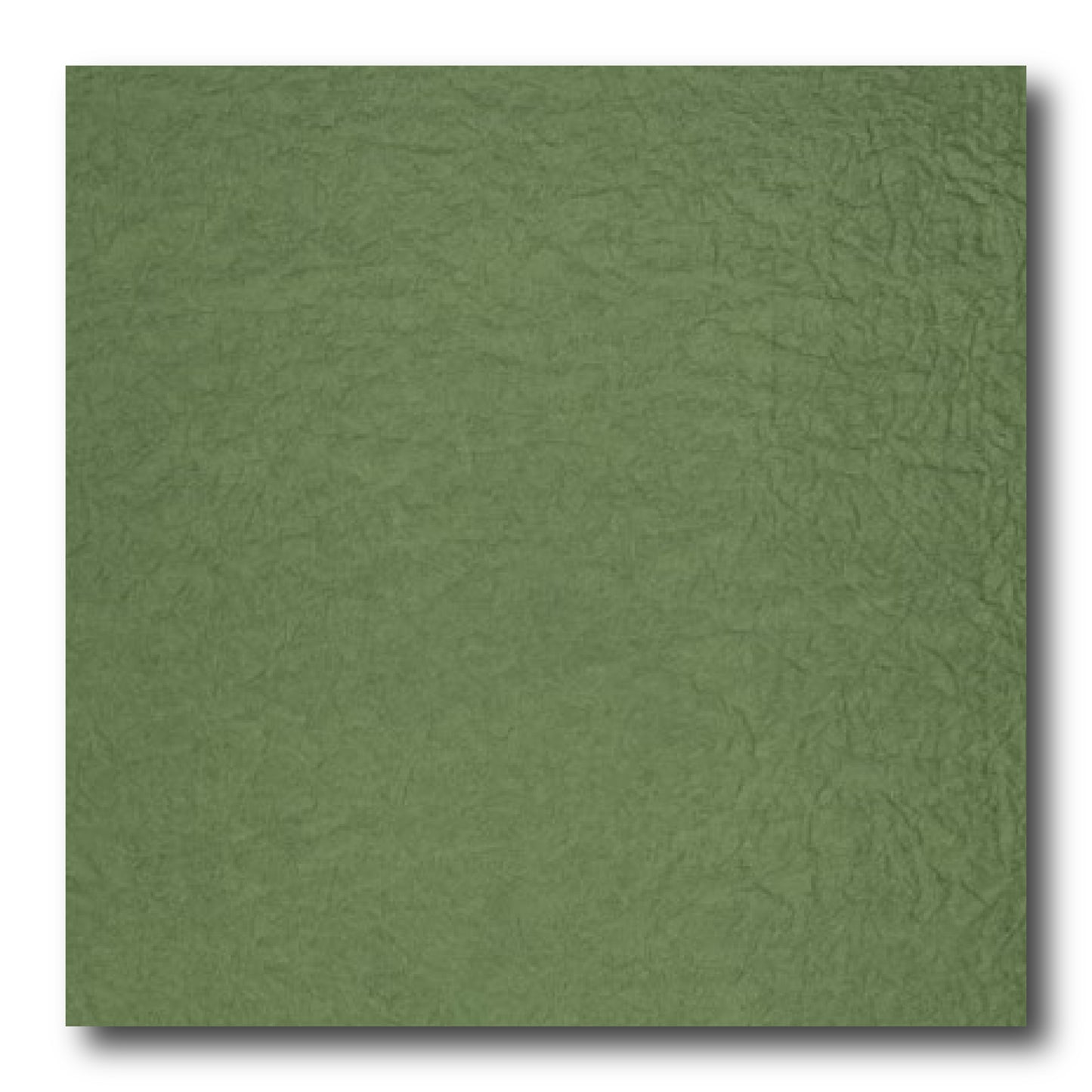 Echizen Momigami (Dual Color: Drab Green) (Sold per sheet) 35cm