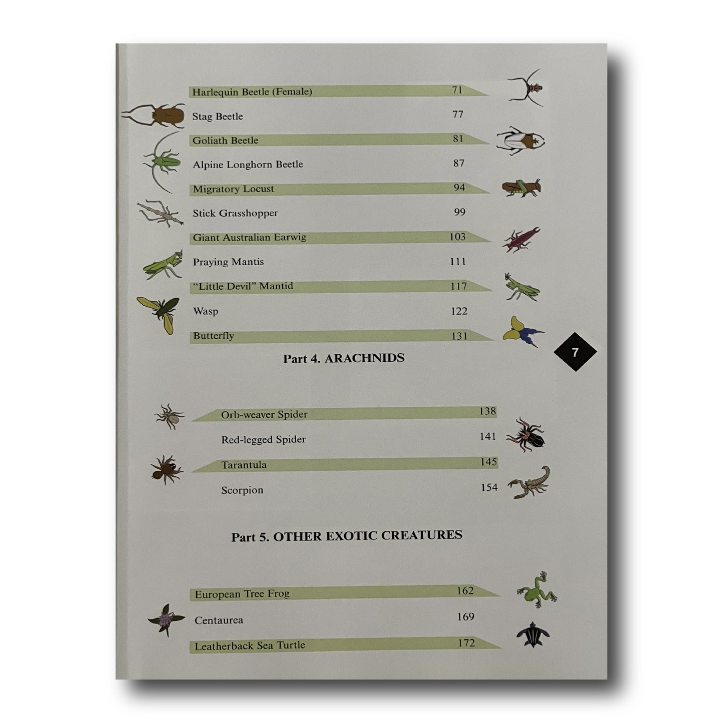 Origami Bugs & Beasts