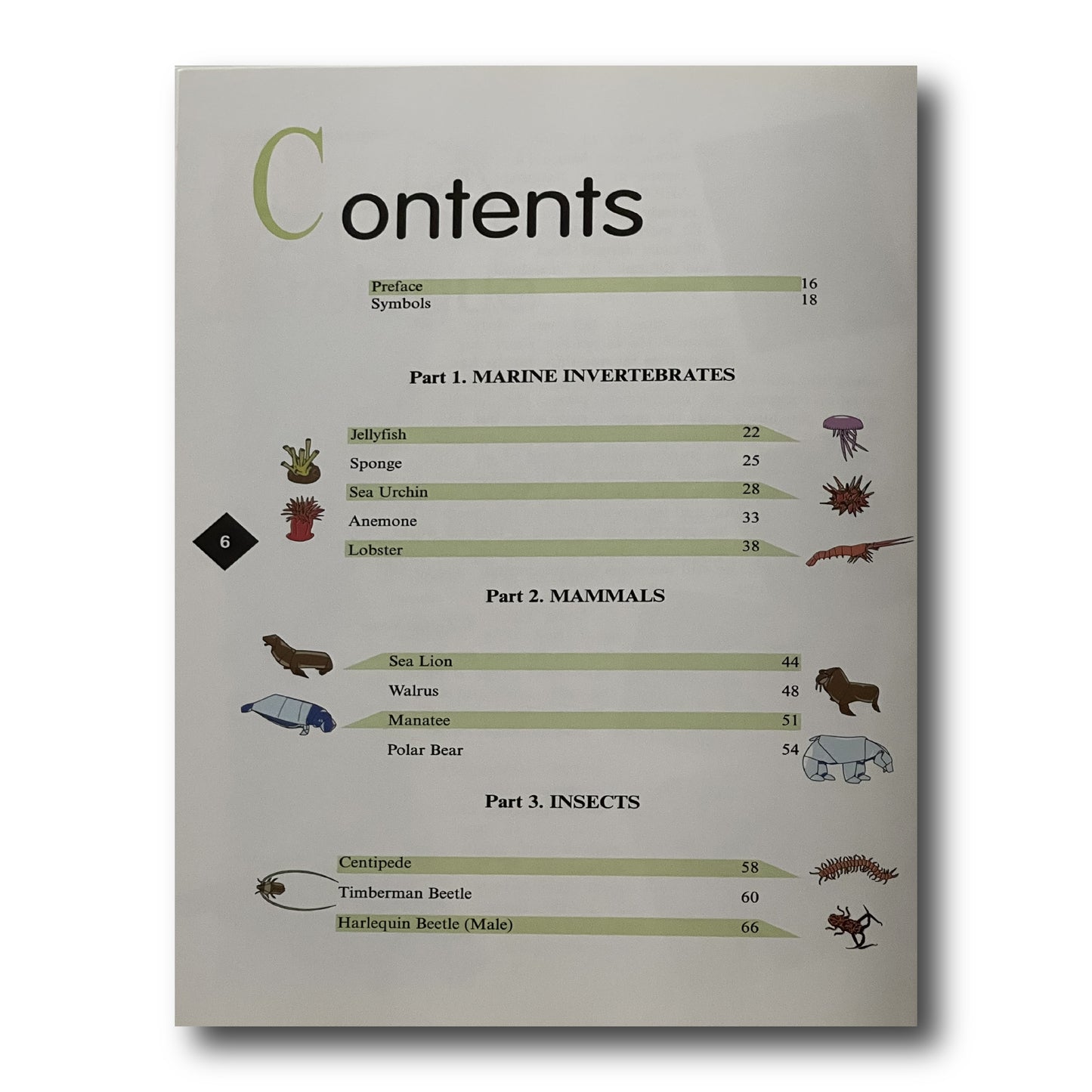 Origami Bugs & Beasts