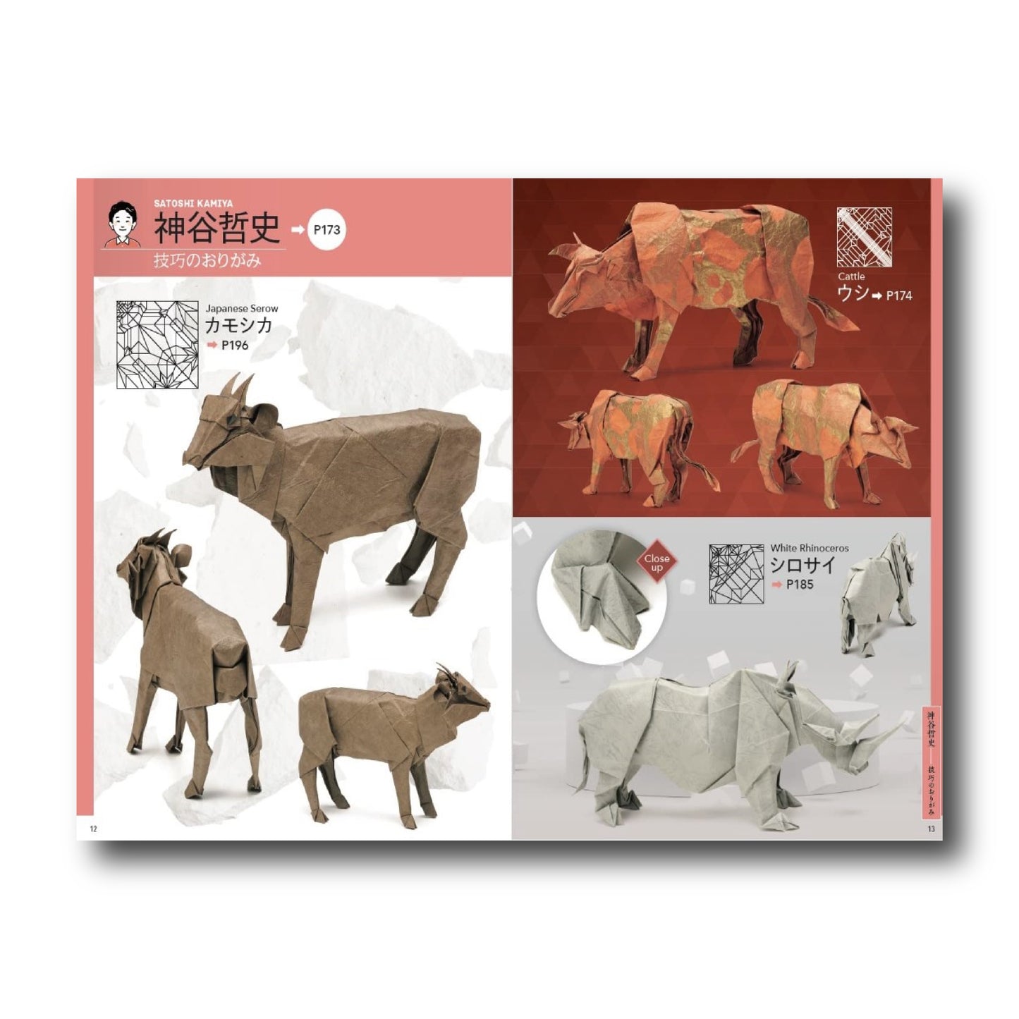 Transcendent Origami (Japanese Edition)