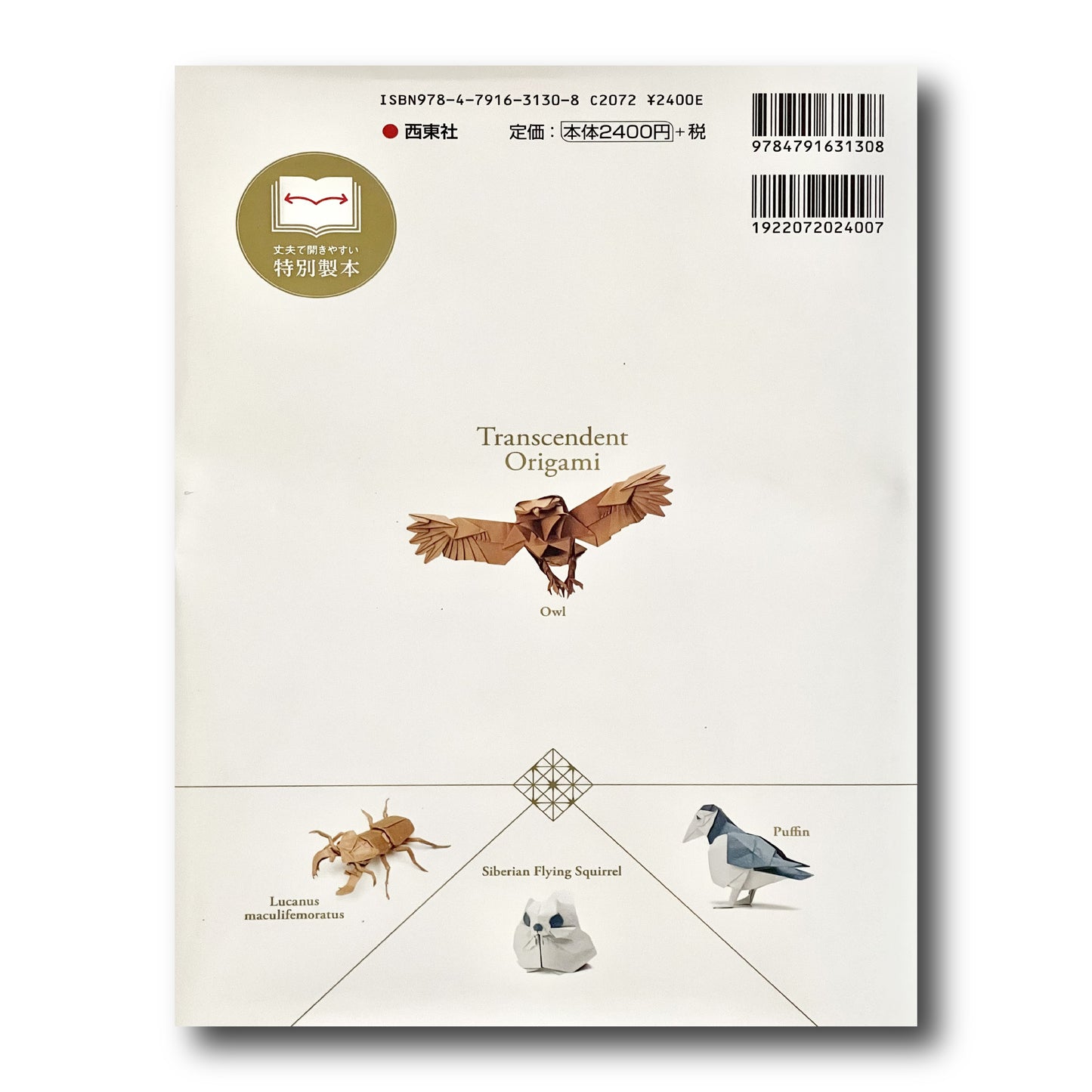 Transcendent Origami (Japanese Edition)