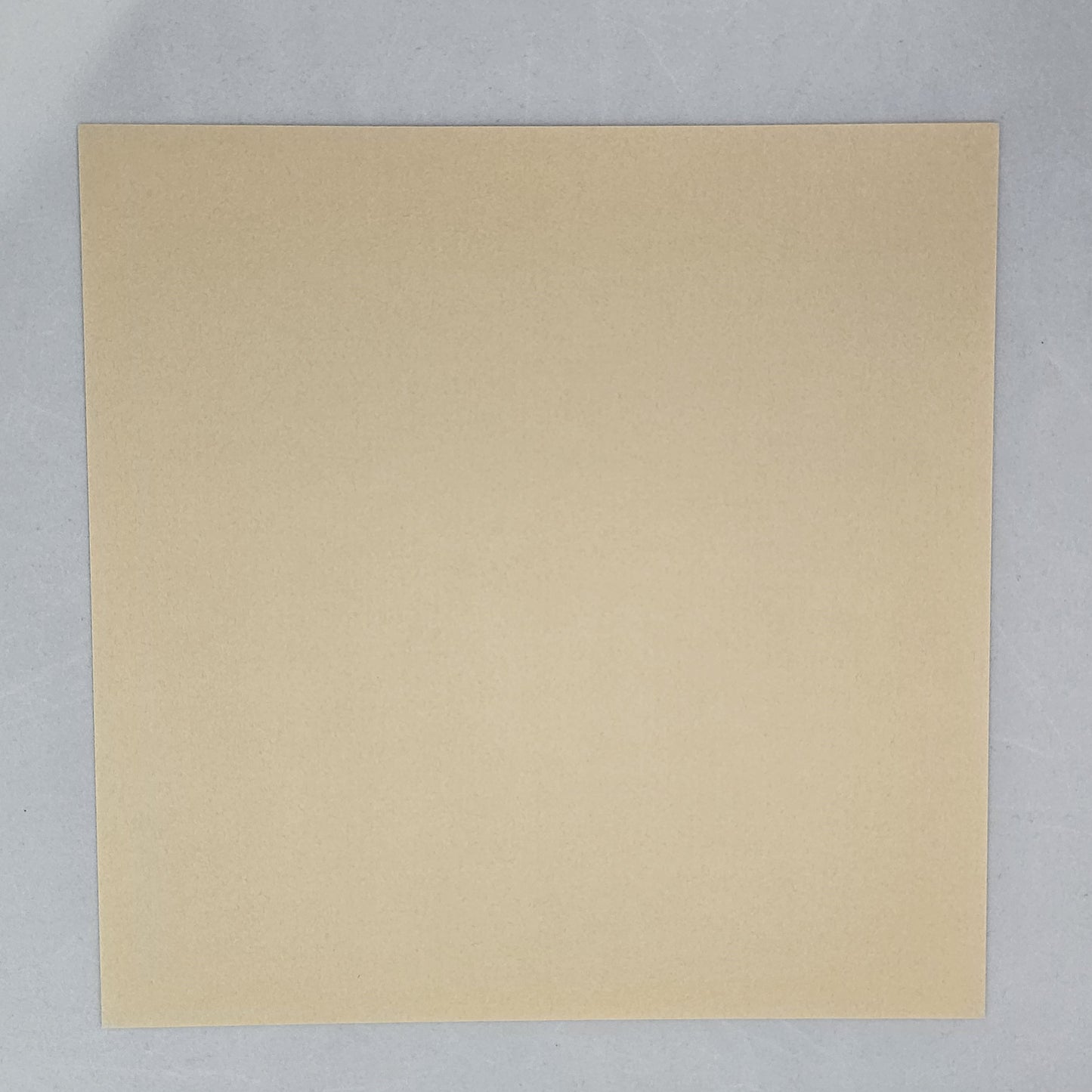 TANT Large 10 Inch (25 cm) Double Sided Single Color (Beige) 20 Sheets (All Same Color) for Origami Artist from Beginner to Expert (Made in Japan)