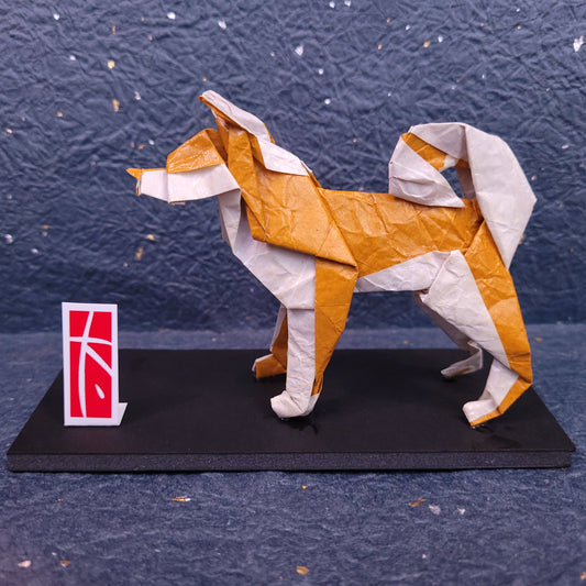 Akita Dog, Taro's Origami Model (2023)