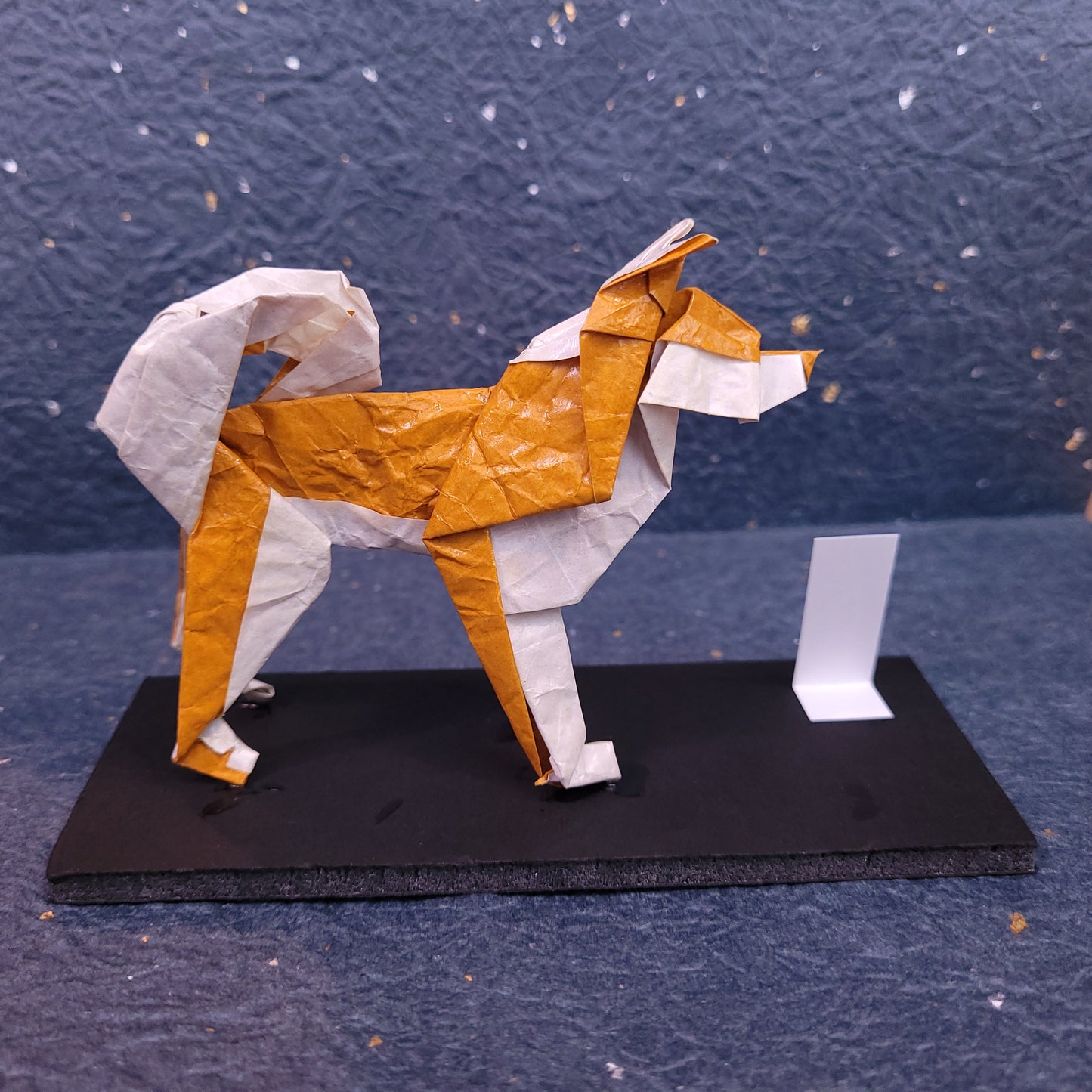 Akita Dog, Taro's Origami Model (2023)