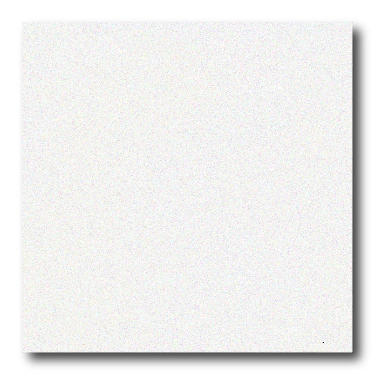 ダブルティッシュフォイル紙（両面カラー：ブラック/ホワイト）（1枚単位での販売）