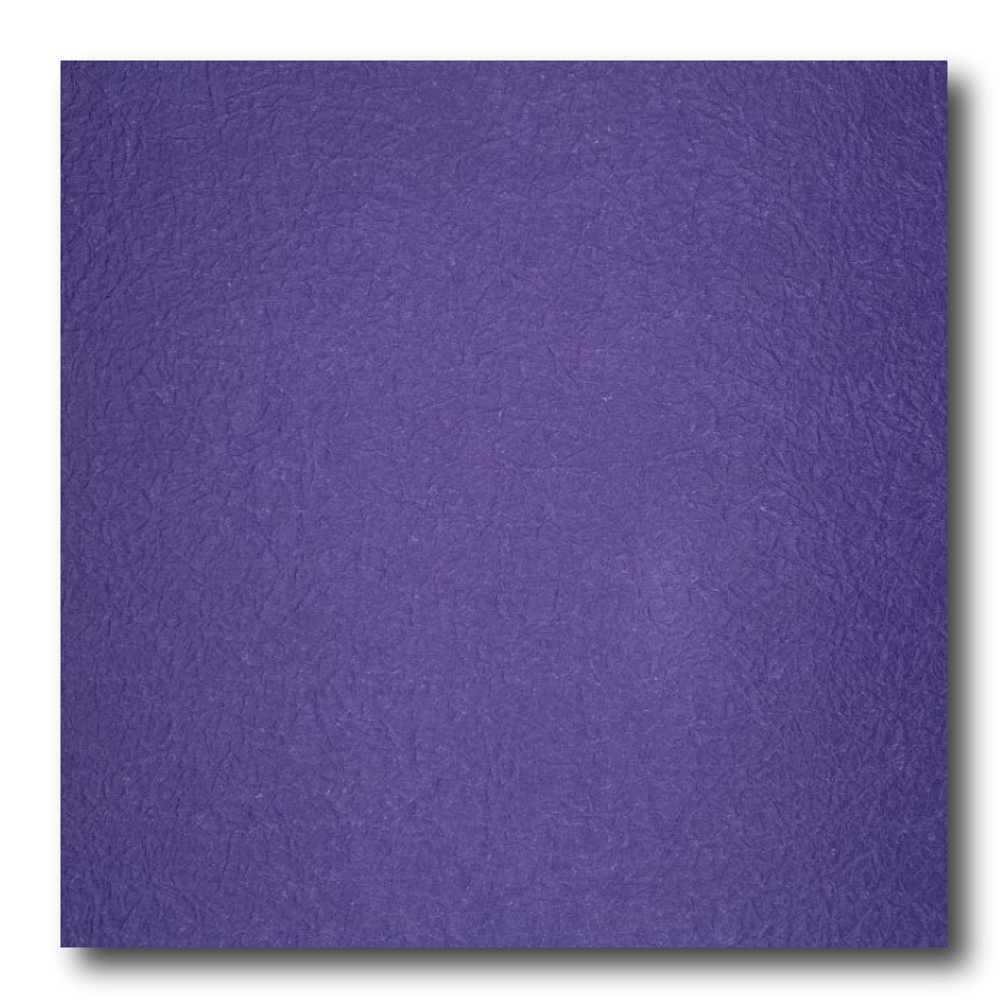 越前もみがみ (2色：紫/白) (1枚単位での販売) 35cm
