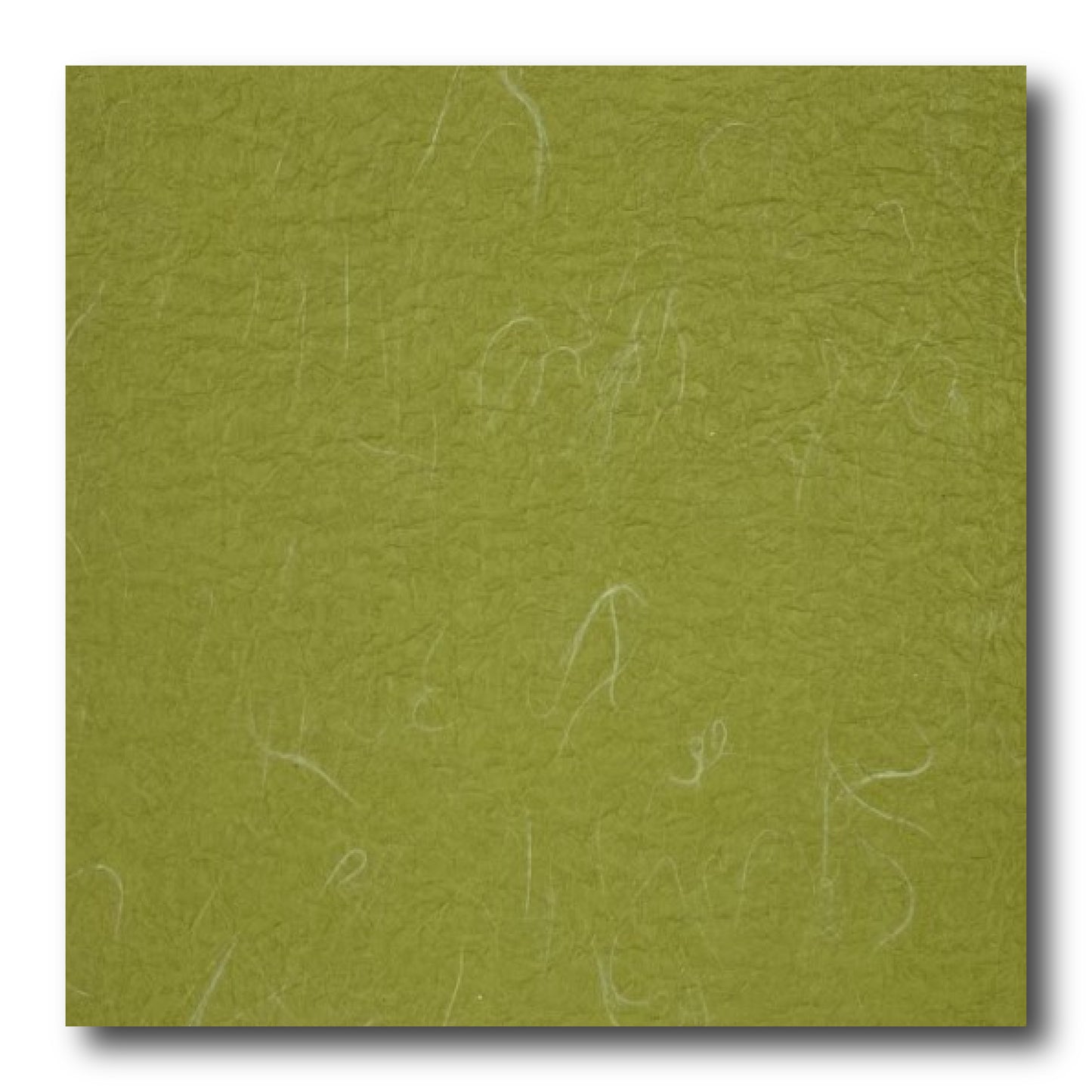 Echizen Momigami (Dual Color: Mustard Green/Green White)(Sold per sheet) 35cm