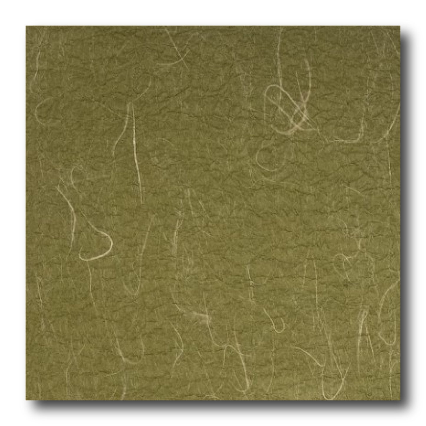 Echizen Momigami (Dual Color: Old Moss Green/Beige Green)(Sold per sheet) 35cm