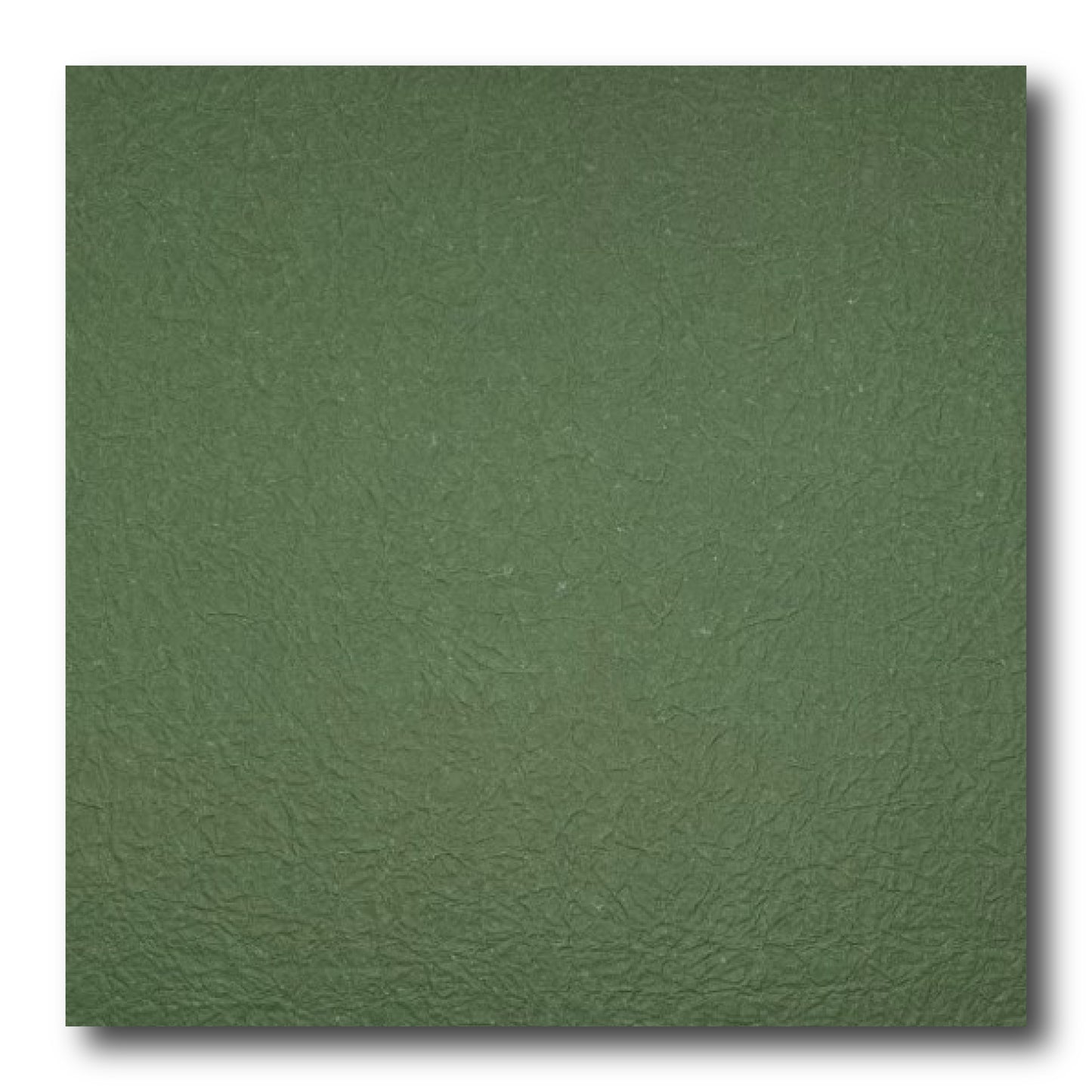 Echizen Momigami (Dual Color: Dark Fern Green/White)(Sold per sheet) 35cm