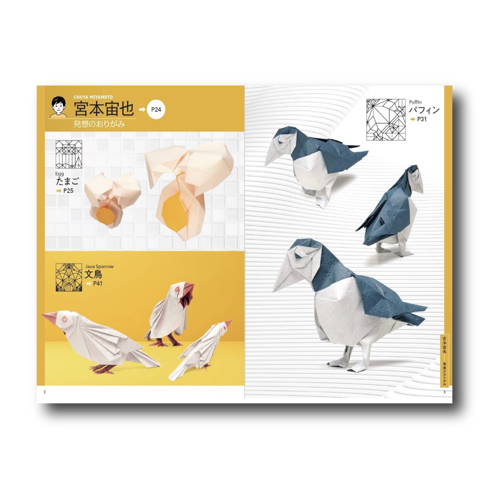 Bird Origami [Book]