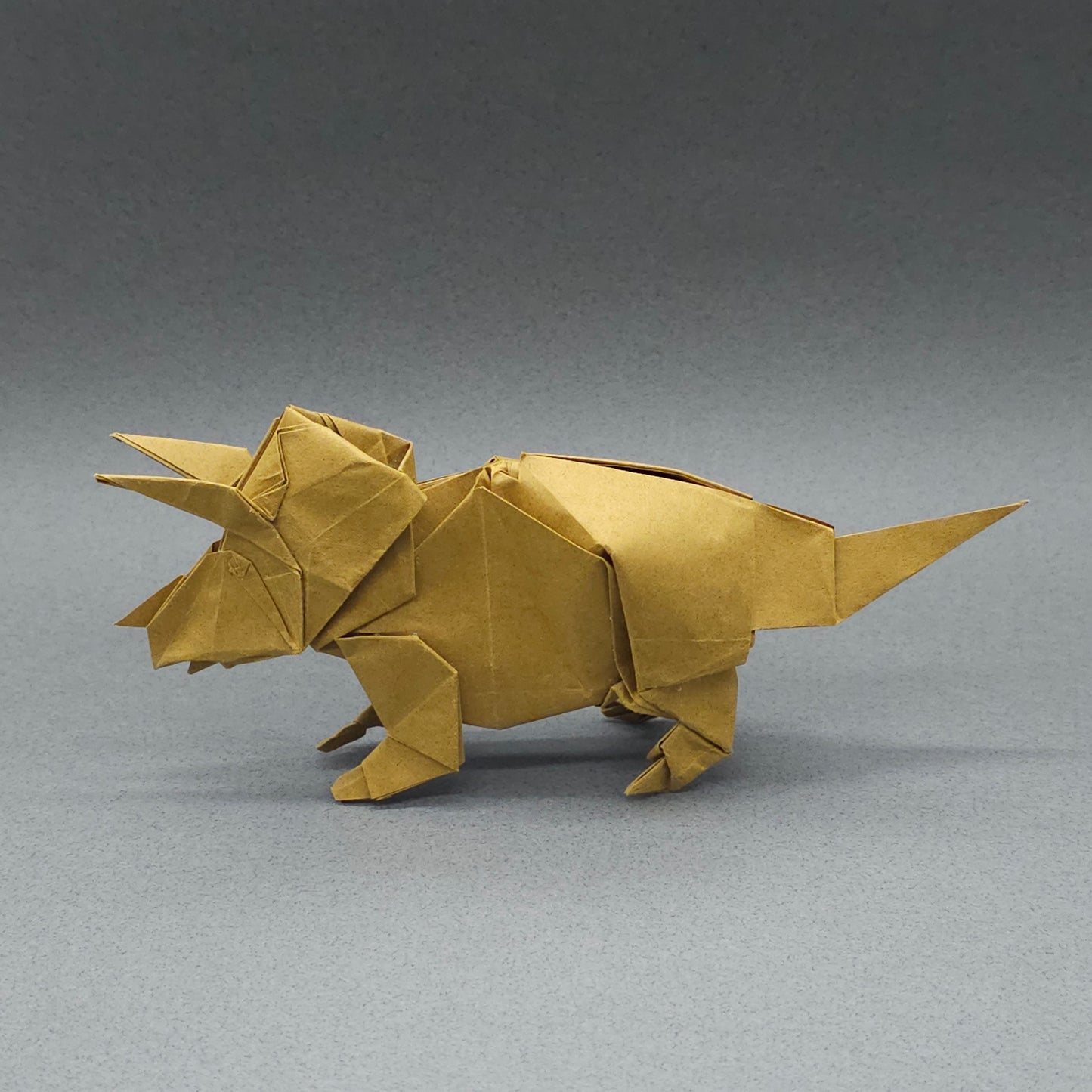 Origami triceratops model biotope 13.8inch