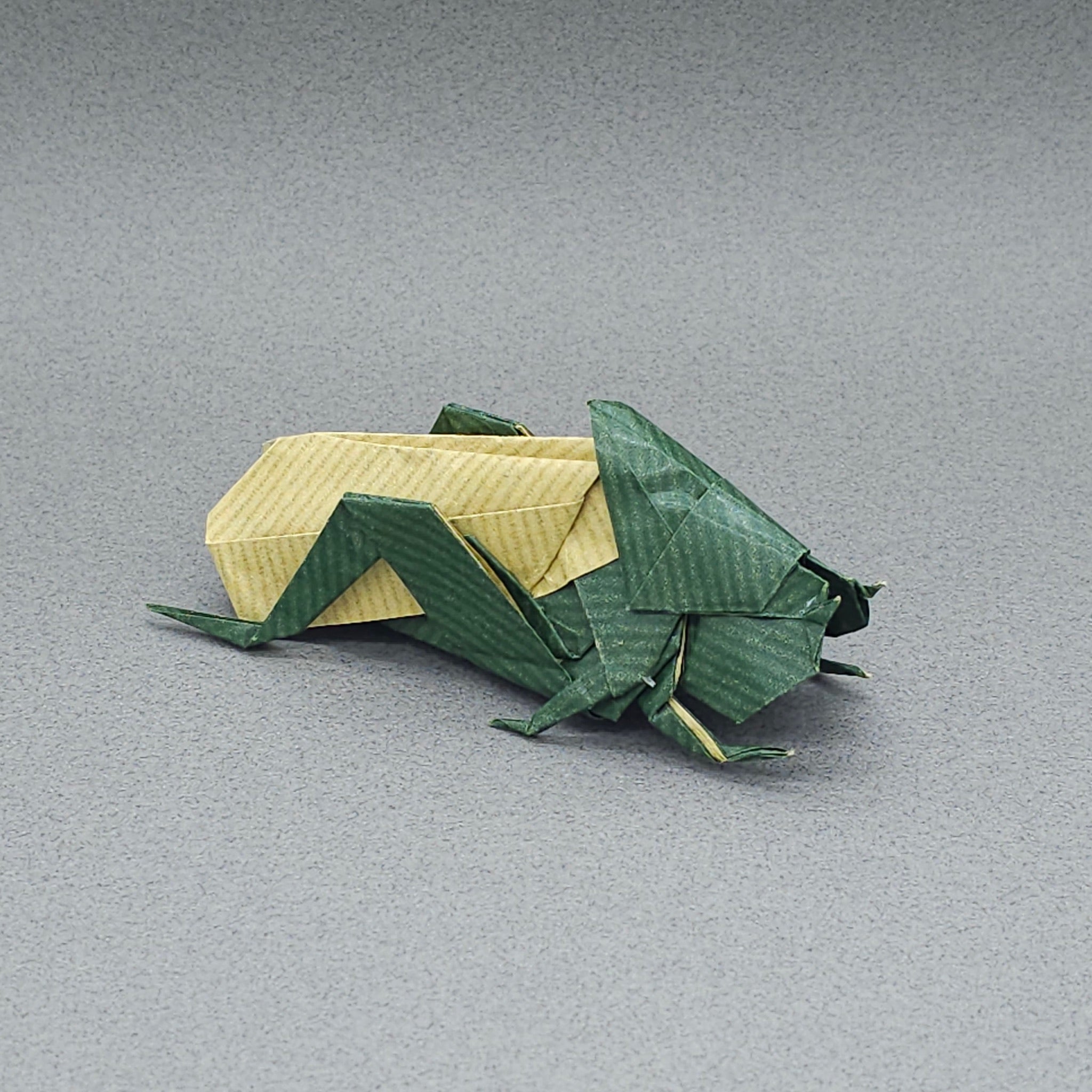 Origami Insects Premium (Japanese Edition) – Taro's Origami Studio
