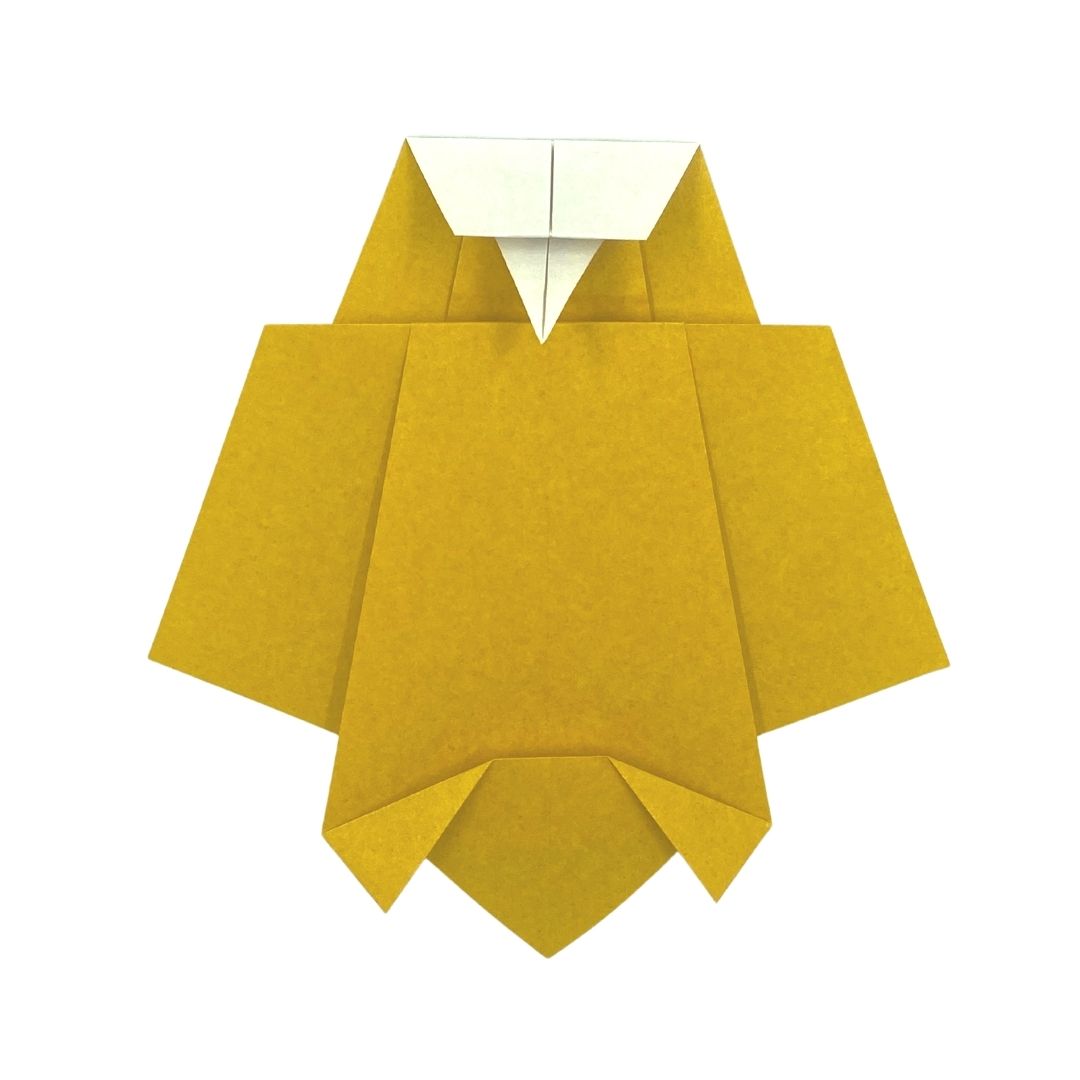 Super Simple Origami Book + Standard 6 inch 65 Sheet Combo