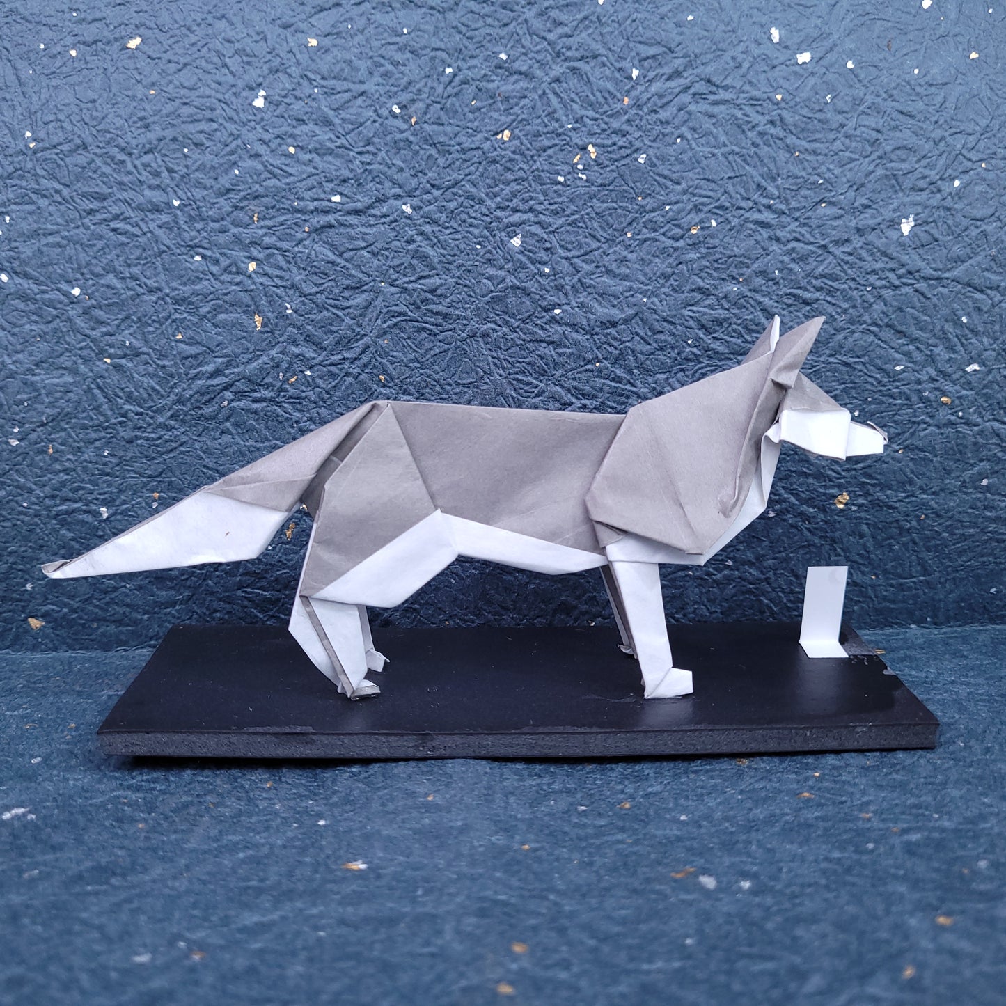 Gray Siberian Husky Dog, Taro's Origami Model (2023)