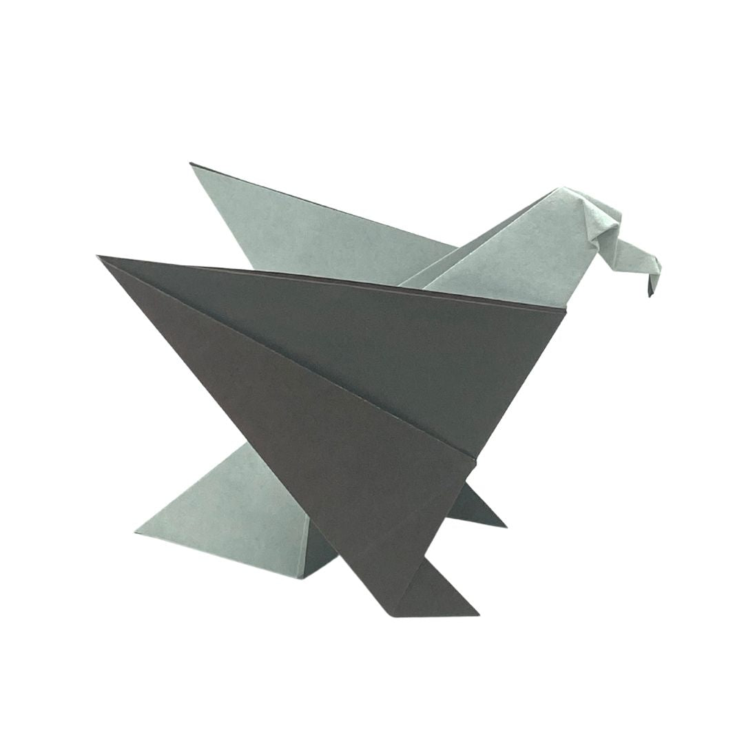 Easy Origami Animal Book + Standard 6 inch 65 Sheet Combo